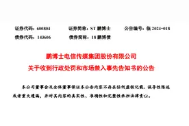鹏博士连续11年年报造假？14位高管被罚款达3400万元图片