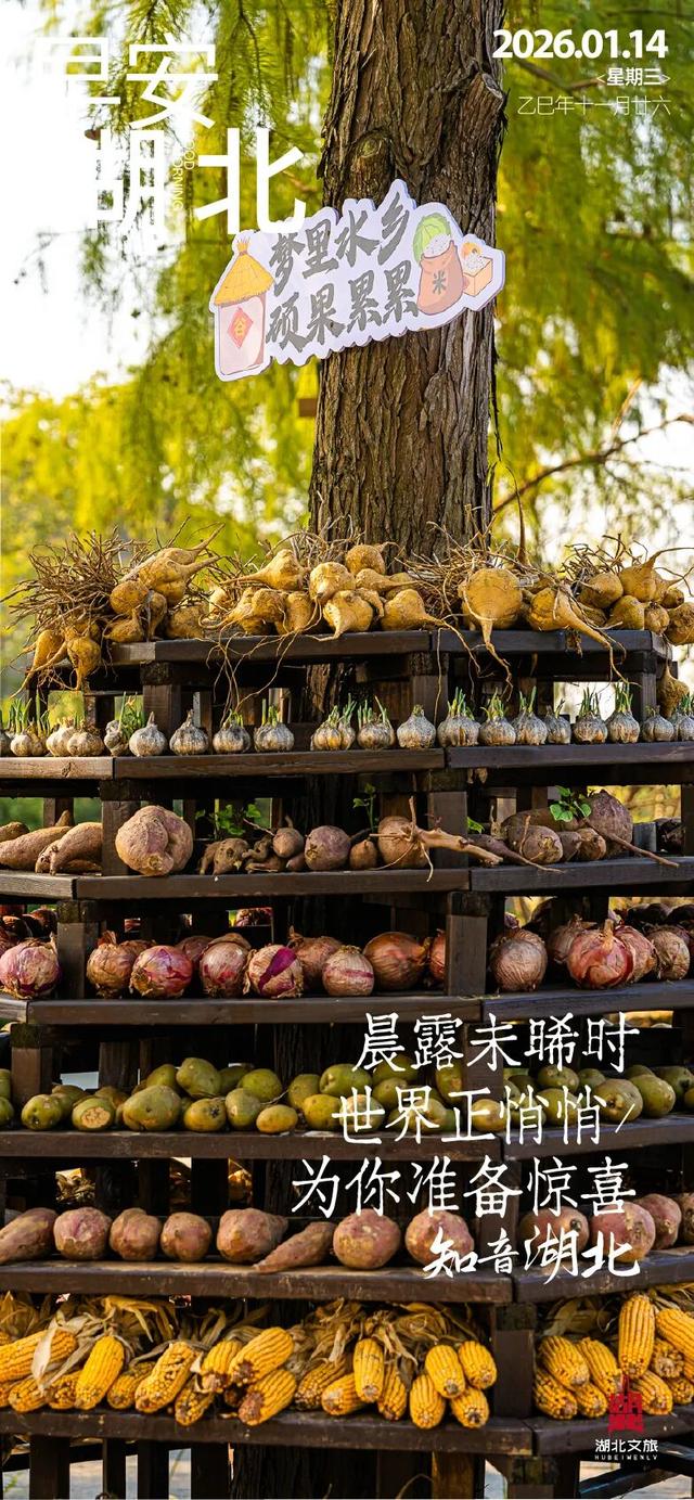 这座千年古城，关羽张飞赵云都在此留下传奇！