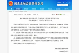 小额贷款公司对单户用于消费的贷款余额不得超过二十万元！国家金融监督管理总局发文征求意见，信息量大图片