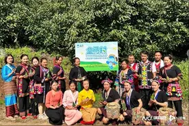 樱桃李、牛油果太贵？洋水果“国产平替” 崛起，多亏了他们图片