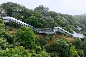 来啦！白云山摩星岭步步高观光扶梯5日起免费开放图片