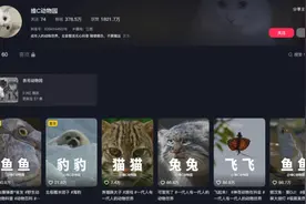 “00后”接管《动物世界》？网友：又怪又爱看图片