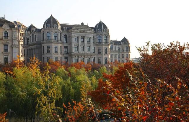 上海市区免费公园的枫叶大道红了！还有通往 “欧洲城堡” 的绝美旋梯→