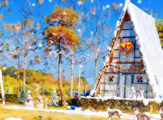 雪景、音乐会、狂欢夜……跨年去哪玩？2026汕头跨年元旦攻略→