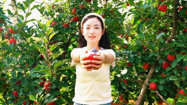 我的家乡我来赞 | 和美桃源