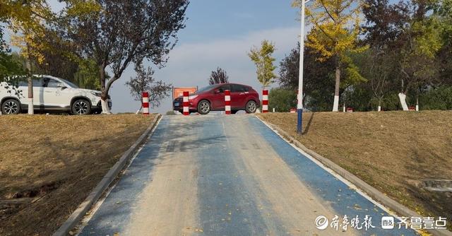 济南百里黄河风景区道路设路桩，相关部门：防止车辆驶入绿化区域