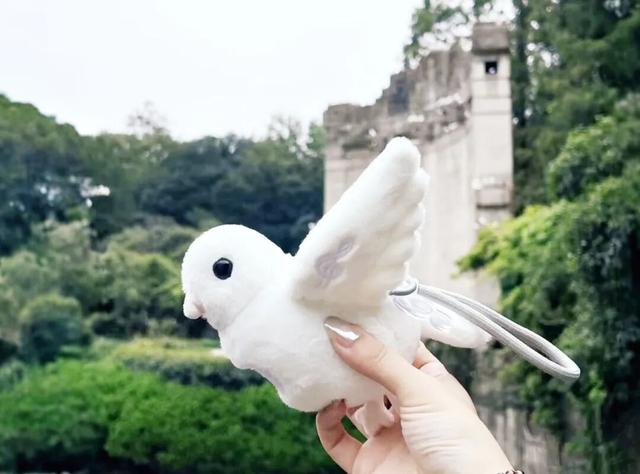 免费送！最新福利来了！