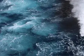 海洋分层的奇幻生物世界 | 穿越深海奇境图片