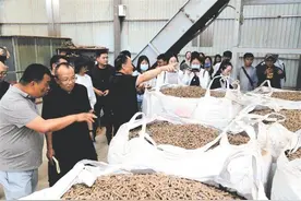 “废弃物”变“新燃料”——生物颗粒燃料深受宣威农户欢迎图片