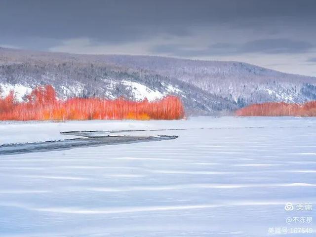 冷极秘境——2025年呼中的冬雪魅景