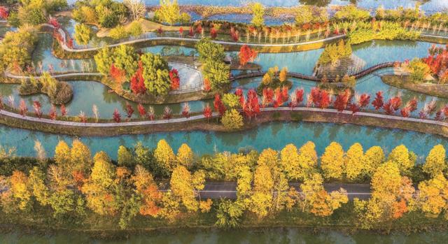 宿来拍丨捕捉秋阳