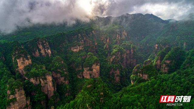 “森”呼吸·清凉“界”丨张家界茅岩河：夏日避暑的清凉仙境
