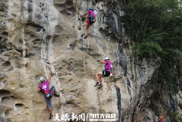 年中经济观察 | 贵州：服务业创新生态瞄准大市场