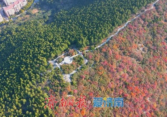 渐入佳境，济南版“鸳鸯火锅”将迎来红叶最美时节