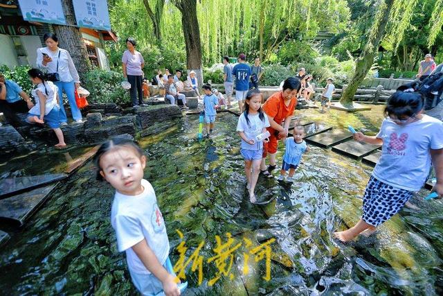 一年四季 泉在济南丨抓住暑热的尾巴 济南趵突泉畔戏水乐趣多