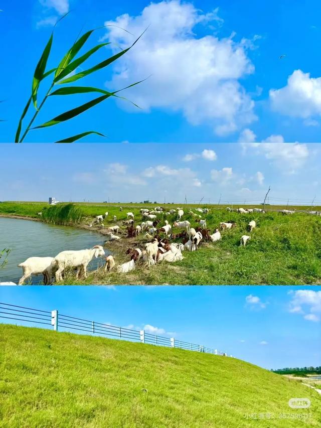 淮安版“赛里木湖”，爆火全网！