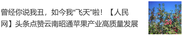 拥抱一段“夏凉菌香”的美好旅程