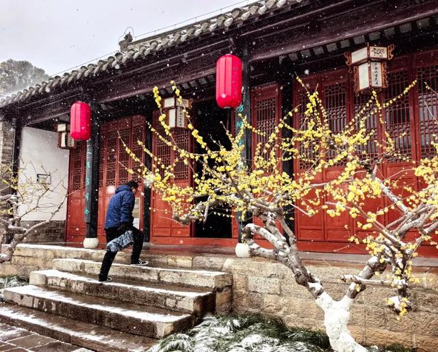 看！徐州最美雪照，每张都可做屏保！