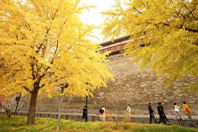 故宫筒子河畔，秋色醉人