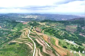 吴湾麦香飘 学子挥镰忙——秦安县莲花镇好地中学学生走进麦田开展研学活动图片