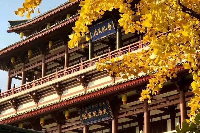 西安上新！高颜值秋景，正在加载！