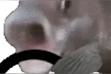 实时路况滚动播报｜ 五一畅行山东，路况动态随时看图片