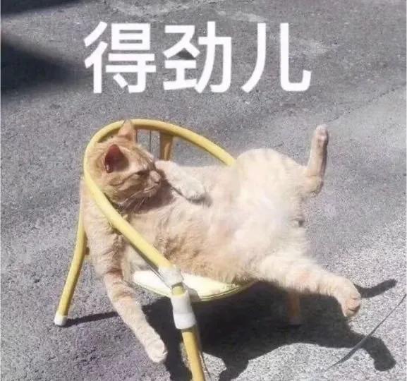 红桥人遛腿儿都来这→