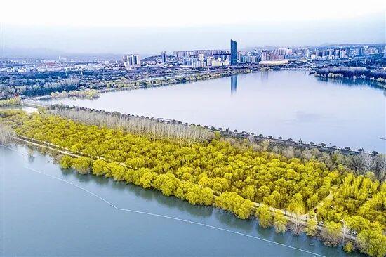 光影中的三门峡（561）