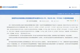 存在安全隐患！罗马仕召回超49万台充电宝 涉及型号仍在销售图片