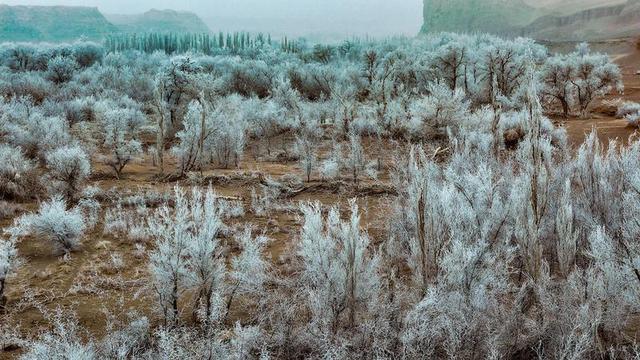 新疆托克逊县天山红河谷现雾凇景观 玉树琼枝映赤壁