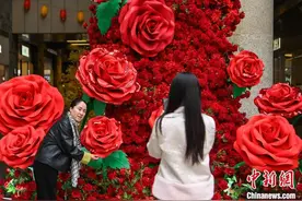 昆明街头13米长“玫瑰瀑布”营造浪漫氛围图片