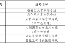 不到一小时！临安至杭州火车东站公交专线再次升级图片