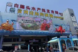 吃海鲜，到斗门！爆红的“白藤头”有独特的“海鲜密码”图片