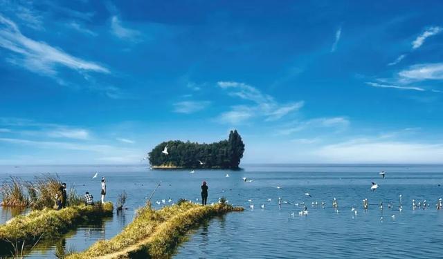 “寒假去哪儿？” 答：有海鸥、20℃、还不用人挤人的昆明！