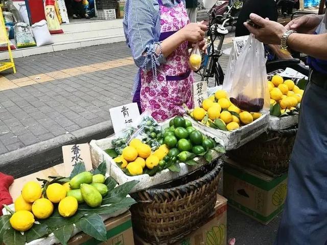 漫步碑林|从晨风到星光，在碑林邂逅夏日“小确幸”
