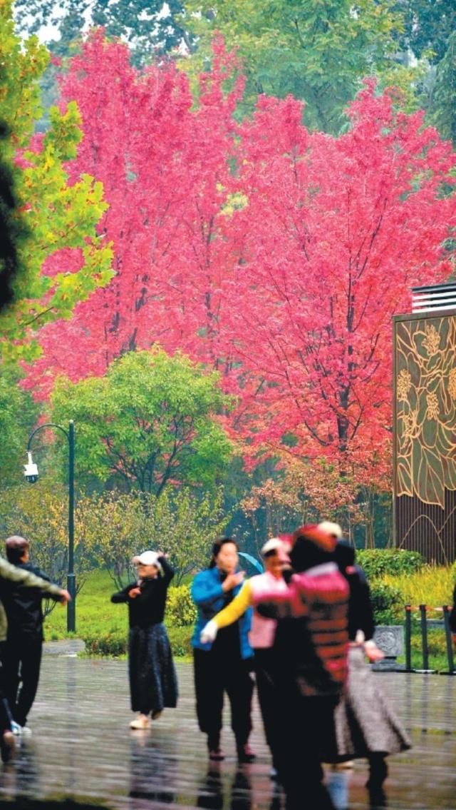 秋染长安色斑斓　霜落成诗醉流年