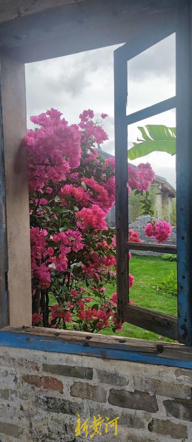 沉睡古村变身文旅新地标，泰康罗浮山下“耕”出新活力