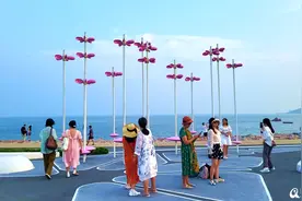 端午车票周六开抢！露天电影、沙滩派对、海上平台……初夏青岛太好玩图片