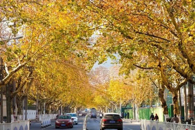 无锡有条石门路