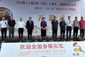 赏奇石之美！文博会龙园赏石分会场开幕图片