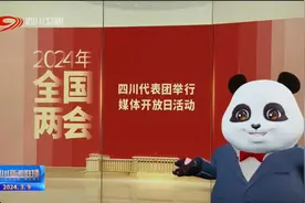 四川新闻联播丨熊猫主播贝贝带你关注两会亮点图片