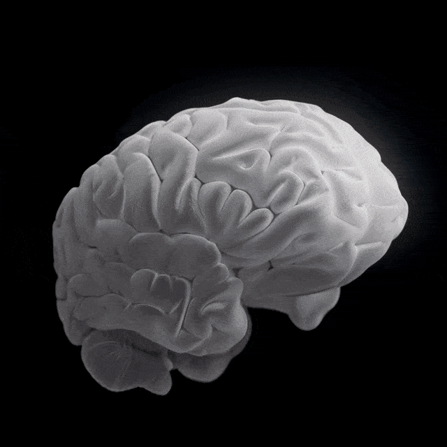 人类首次机械飞升，马斯克豪言Neuralink击败全人类