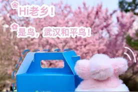 蒜鸟“一鸟难求”， 樱花邮局、樱花糕爆火 樱花带火系列“小网红”图片