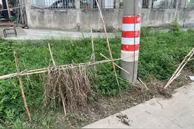 慈溪：老人倒地扶不扶？热心姐妹用行动给出答案图片