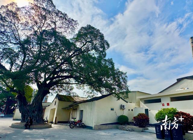 拆出空间，治出美景！彩塘镇和平村推进产乡融合