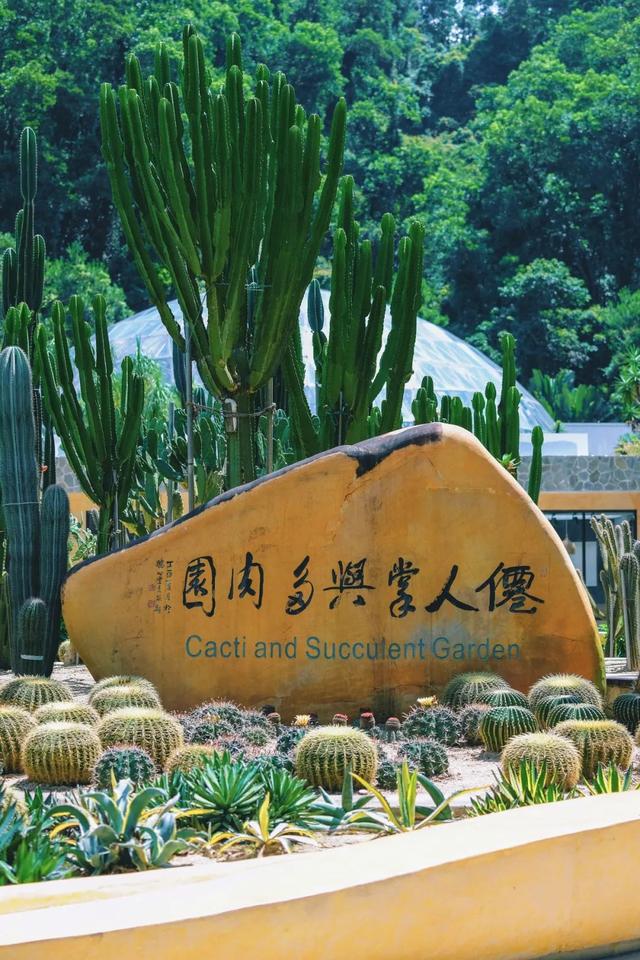 7公里黄金绿道！一天尽揽湖光山色