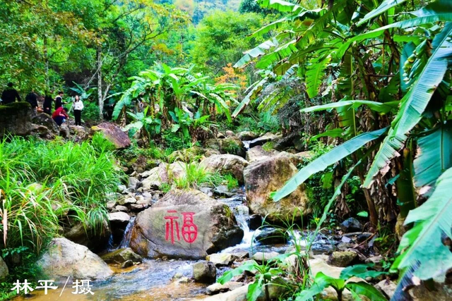 在三明做客 | “五大”主题线路，从匠心非遗到活力运动，玩转秋日绿都～