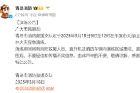 青岛消防19日在大泽山黄连顶开展森林火灾应急演练图片