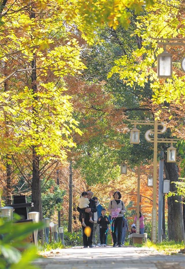 冬日尽斑斓 城市如诗画