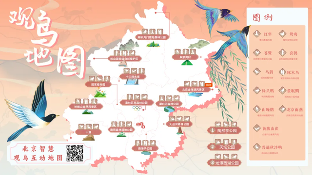 最新！北京春天动物图鉴！